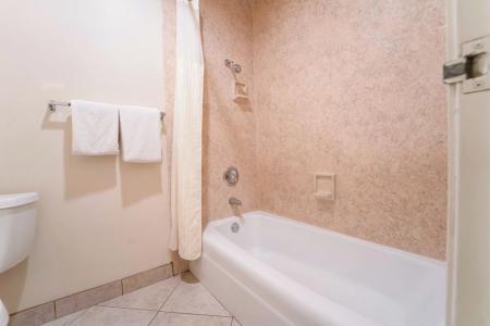 Royal Plaza Inn - 87