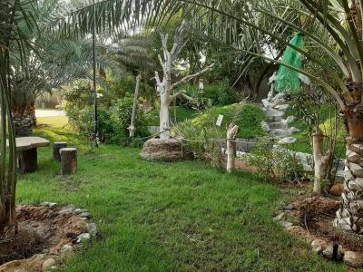 Daraysh Resort - 22