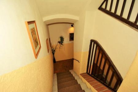 Biskupský Dvůr Davids - 12