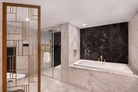 Radisson Blu Grt, Chennai - 136