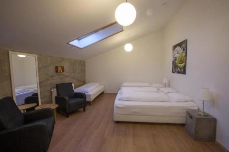 Vogur Country Lodge - 19