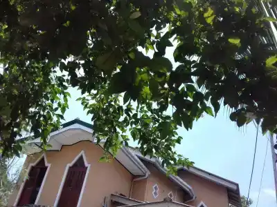 Galle Paradise Inn - 0
