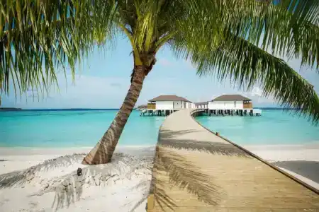 Robinson Noonu - All Inclusive - 16