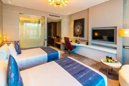 Vip - 3