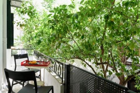 Athens Green - 79