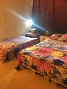 Mirage And Hostels - 5