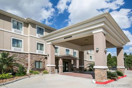 Restwell Inn & Suites I-45 North - 37