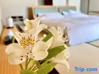 Wakamatsu Hot Spring Resort - 57