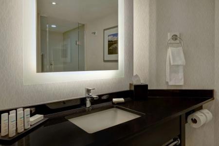 Embassy Suites by Hilton/ Fallsview - 9
