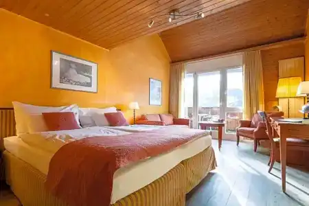 & Spa Silberhorn Wengen - 81
