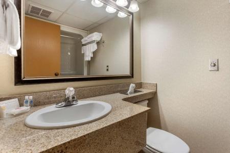 Comfort Inn at Thousand Hills - 54