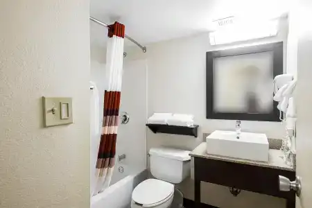 Red Roof Inn Plus+ San Antonio Downtown - Riverwalk - 6