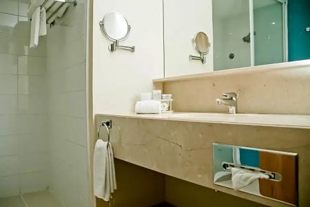 Holiday Inn Express Mexico Reforma - 61