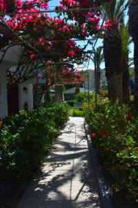 Blue Horizon - 52