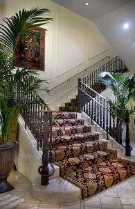 Astor Crowne Plaza New Orleans French Quarter, Corner of Bourbon and Canal - 13