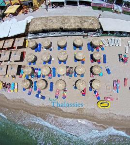 Thalassies - 36