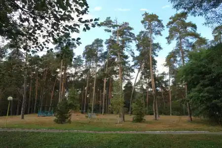 Берестье - 13