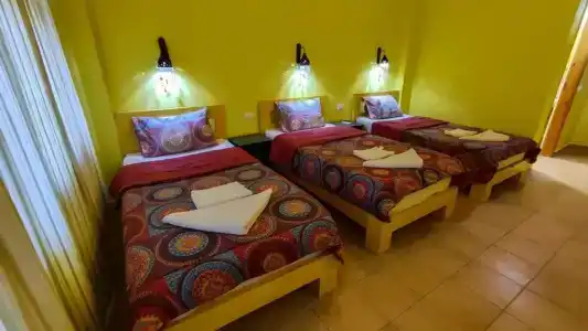 Shams & Dive Centre - 5