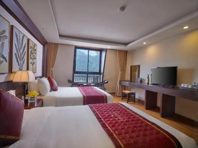 Sapa Freesia - 47