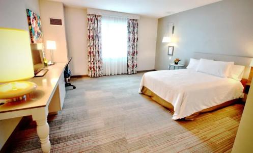 Hilton Garden Inn Miami Dolphin Mall - 71