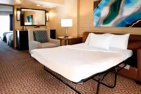 DoubleTree Suites by Hilton Tucson-Williams Center - 92
