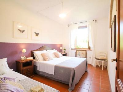 Agriturismo Boschi di Montecalvi - 168