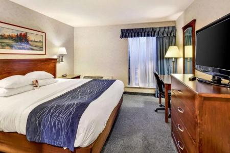 Comfort Inn - 42