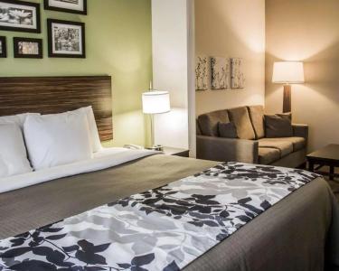 Sleep Inn & Suites -Eisenhower Boulevard - 26