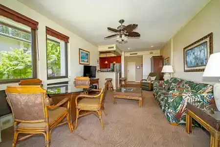 Kapalua Villas Maui - 165