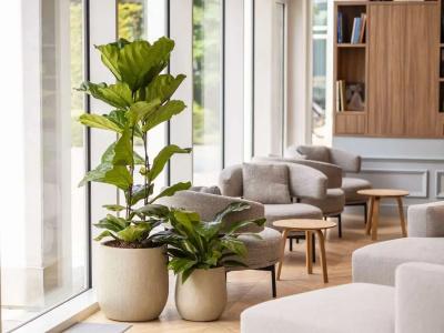 Novotel Brugge Centrum - 36