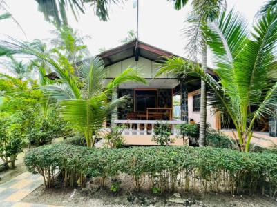 Family House - 59