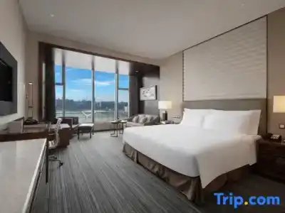 Radisson Blu Plaza Chongqing - 74