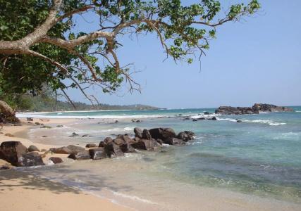 Surf Sea Breeze - 13
