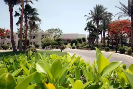 Swiss Inn Resort Dahab - 22
