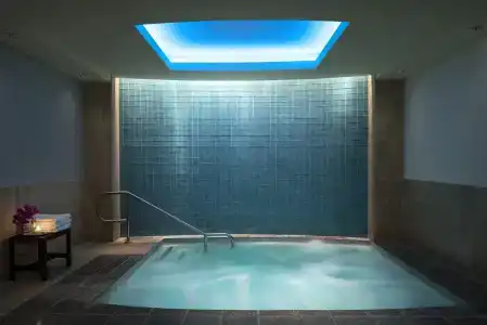 The Ritz-Carlton, Dallas - 14