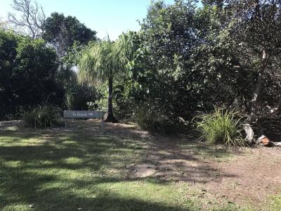 Glen Eden Beach - 21