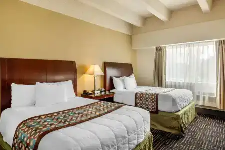 Rodeway Inn Denver Downtown - 4