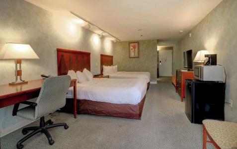 Senator Inn & Spa - 94