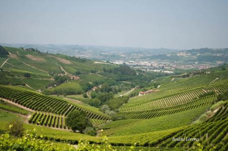 b&b Villa Bellavista Alba - 76