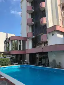 Flamingo - 12