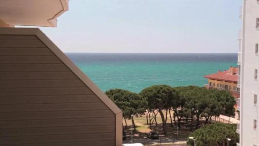 Reymar Playa - 14