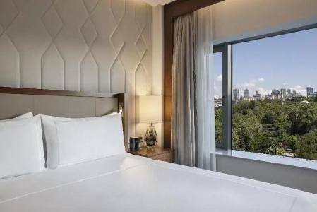 Conrad Istanbul Bosphorus - 109