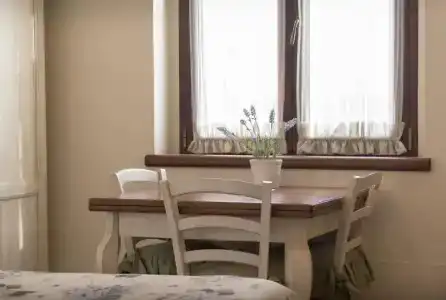 Rosa di Assisi - 112