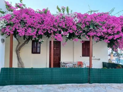 Evelina Pension! - 170