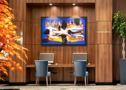 Radisson Blu, Sakarya - 2