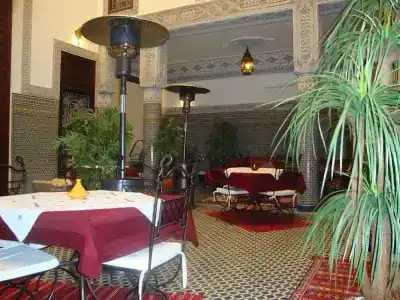 Riad Youssef - 24