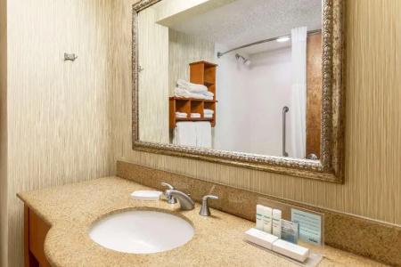 Hampton Inn - 83