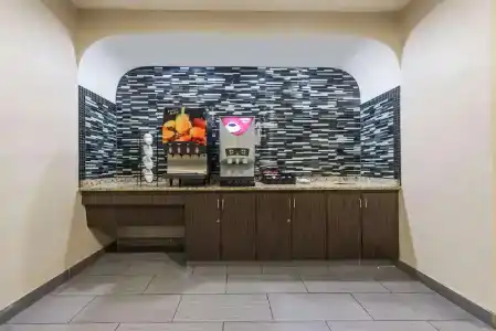 Microtel Inn & Suites by Wyndham Ft. Worth North/At Fossil - 16