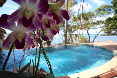 Coco Cape Lanta Resort - Sha Extra Plus - 11