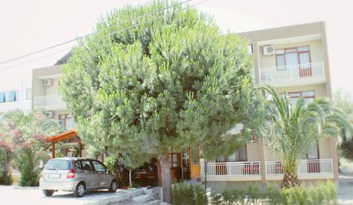 Grand Yayla - 10